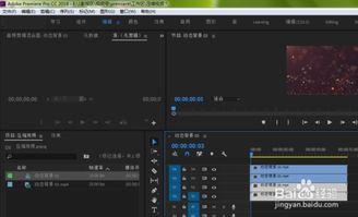 如何复制在线视频,在线视频复制技巧解析