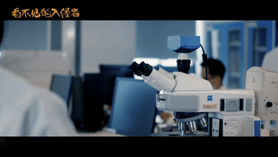 没有侵入在线视频,探索非侵入式在线视频生成技术