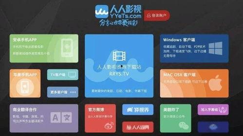 欧洲在线视频资源,探索多元文化，畅享视听盛宴